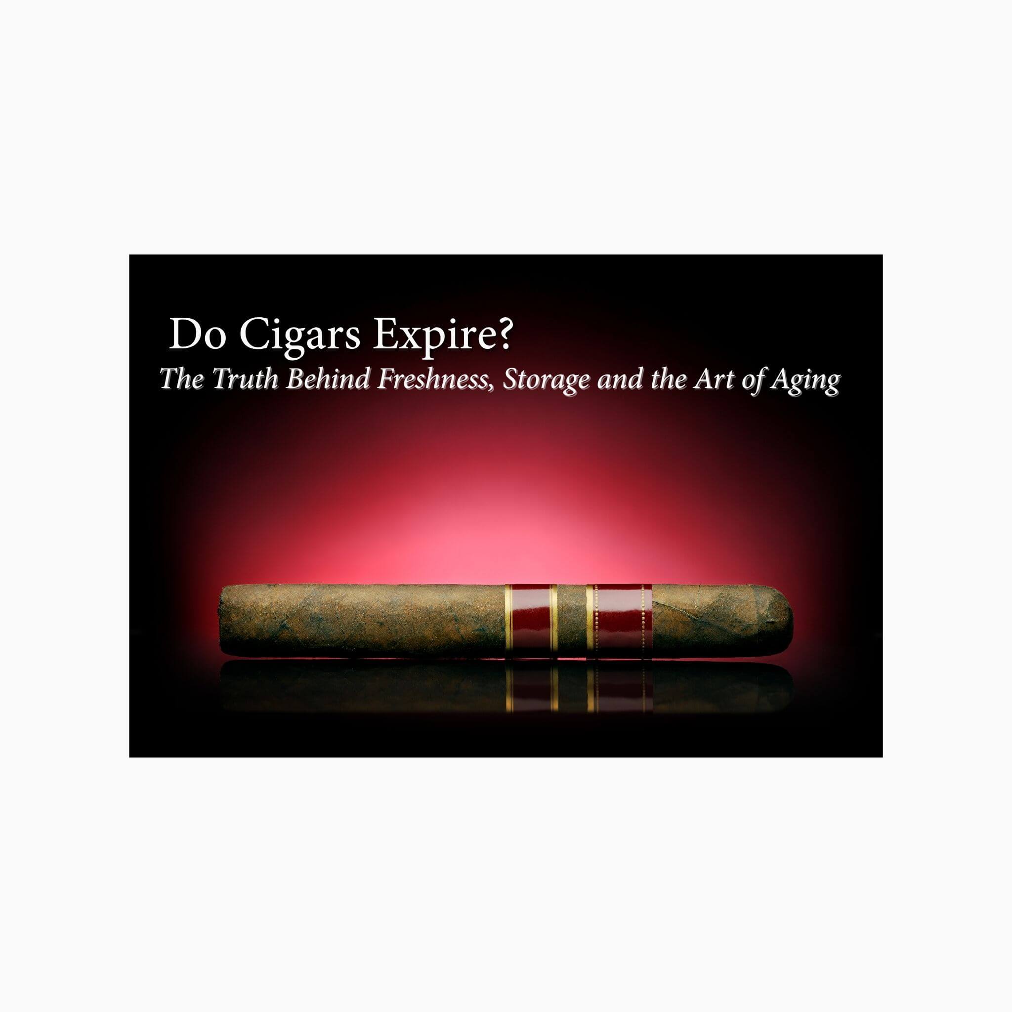 holding cigarette holder Womans Hand Holding Lit Cigarette Greeting Card by George Marks