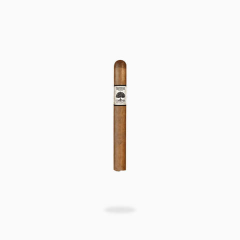 Foundation Charter Oak Original Petit Corona - Toro Puro