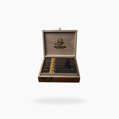 Foundation Olmec Claro Robusto Cigar - Toro Puro