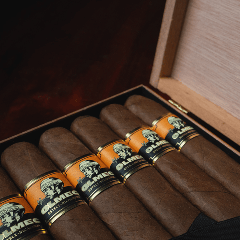 Foundation Olmec Claro Robusto Cigar - Toro Puro