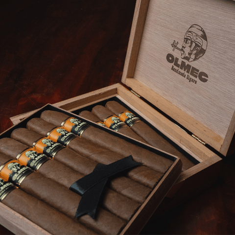 Foundation Olmec Claro Robusto Cigar - Toro Puro