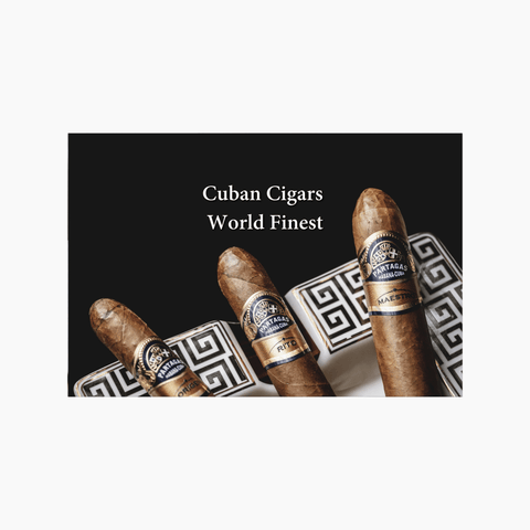Why Cuban Cigars Remain the World’s Finest - Toro Puro