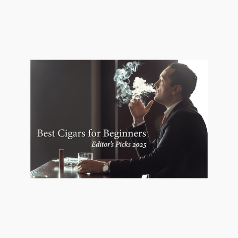 Best Cigars for Beginners – Editor’s Picks 2025 - Toro Puro