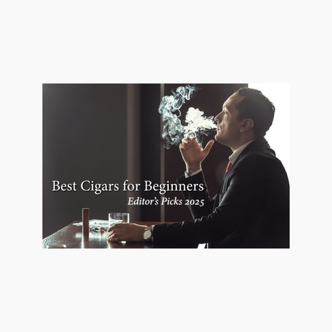 Best Cigars for Beginners – Editor’s Picks 2025