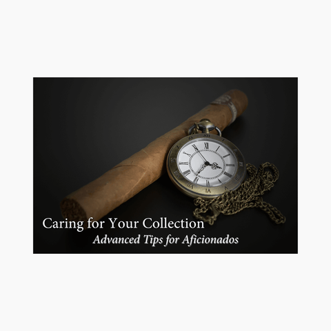 A handcrafted humidor with premium cigars — expert cigar care guide by Toro Puro
