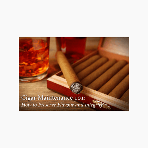 Cigar Maintenance 101: How to Preserve Flavour and Integrity - Toro Puro