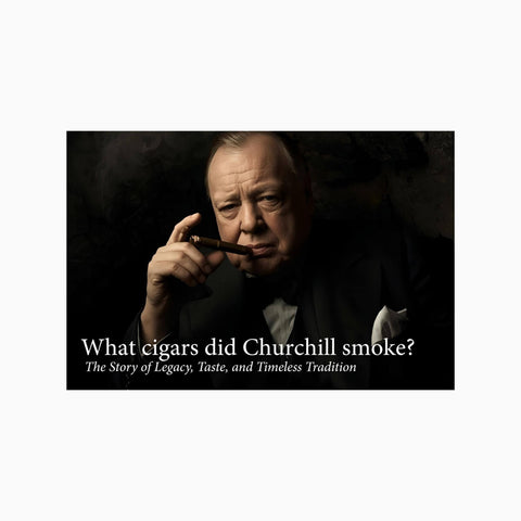 What Cigars Did Churchill Smoke? - Toro Puro