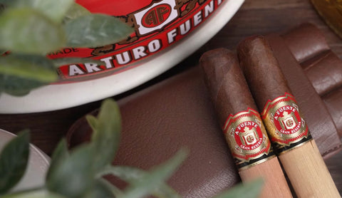 Two Arturo Fuente cigars on a wooden surface with a plant in the foreground.