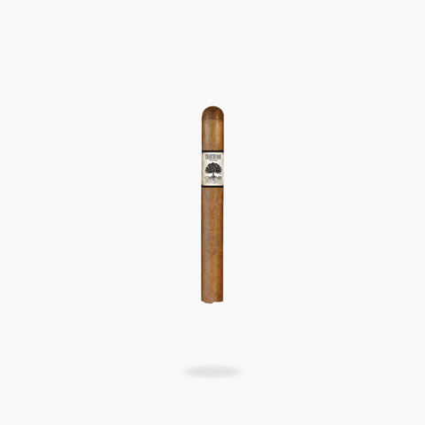 Foundation Charter Oak Original - Petit Corona