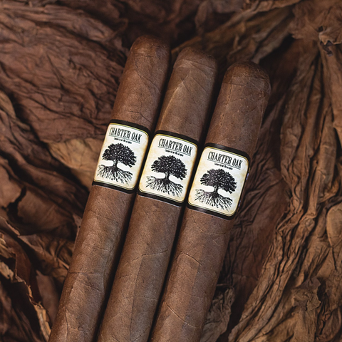 Foundation Charter Oak Original - Petit Corona