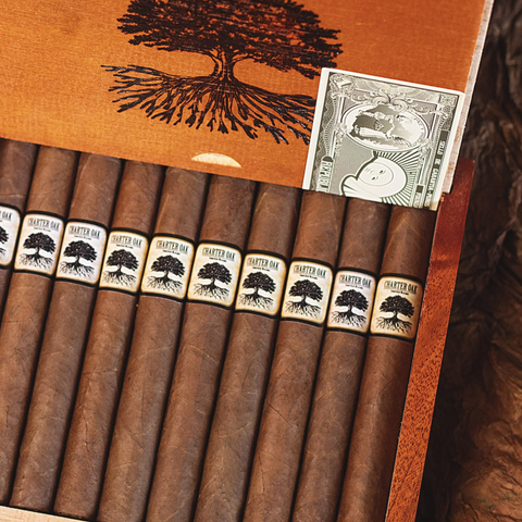 Foundation Charter Oak Original - Petit Corona