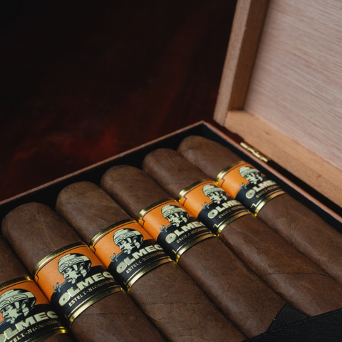 Foundation Olmec Claro Robusto Cigar