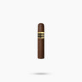 Full Strength Cigar Bundle - Toro Puro