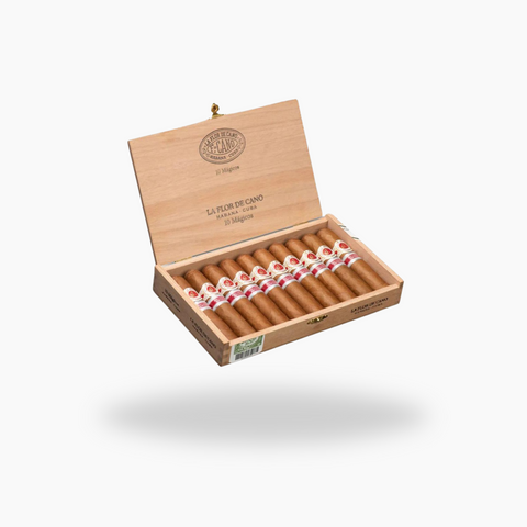 Flor De Cano Magicos Cigar RE 2018 Spain