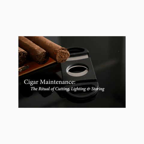 Cigars and a cutter on a dark background with text about cigar maintenance.