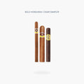 Aladino Corojo Elegante, Aladino Corojo Gordo and Rocky Patel Seed to Smoke Classic Maduro Toro cigars from the Bold Honduran Cigar Sampler - Toro Puro