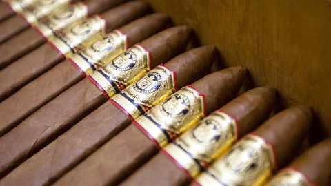 Close-up of cigars with gold bands arranged in a row.